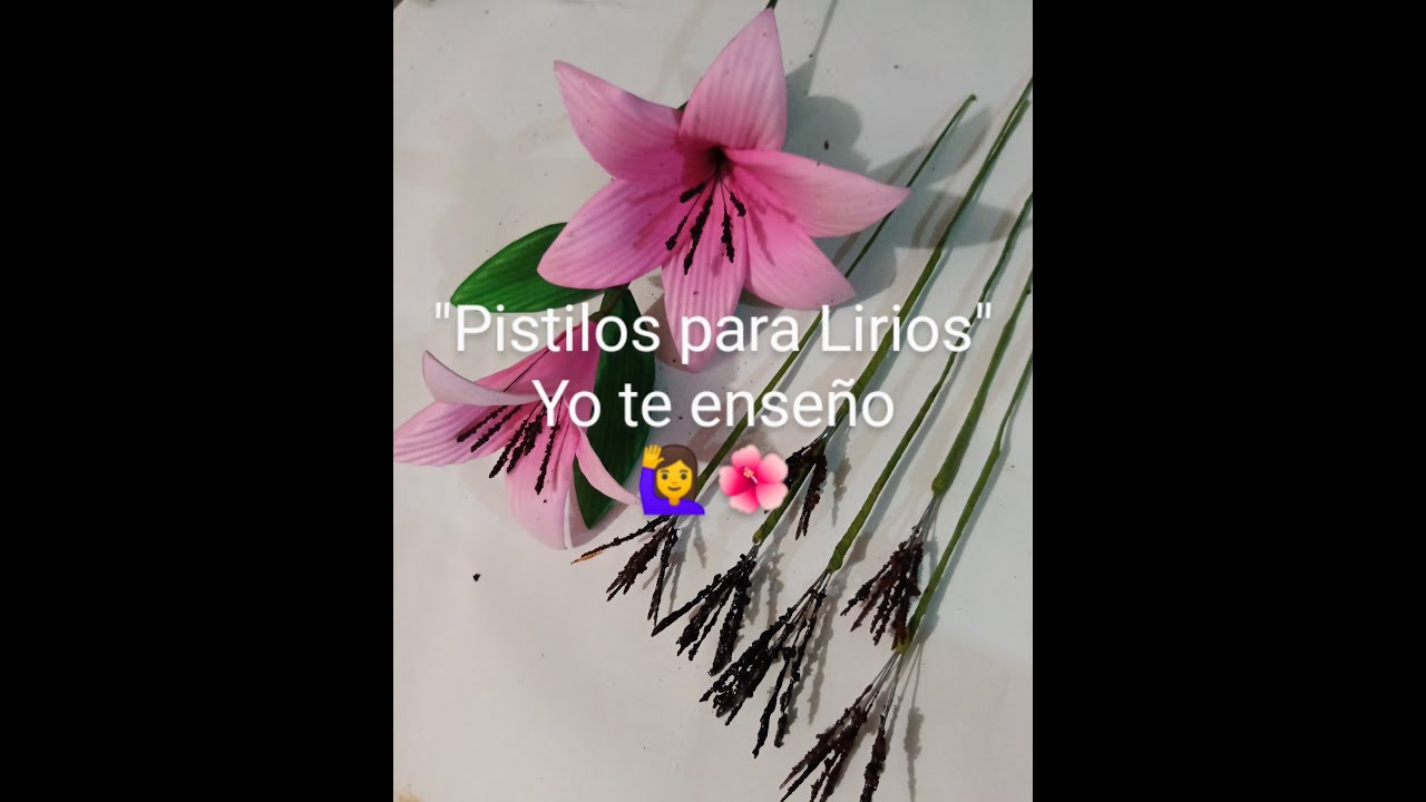 Como Hacer Pistilos  Para Lirios | Café | Granulado | Fomi | Foami | Fomy | Goma Eva |