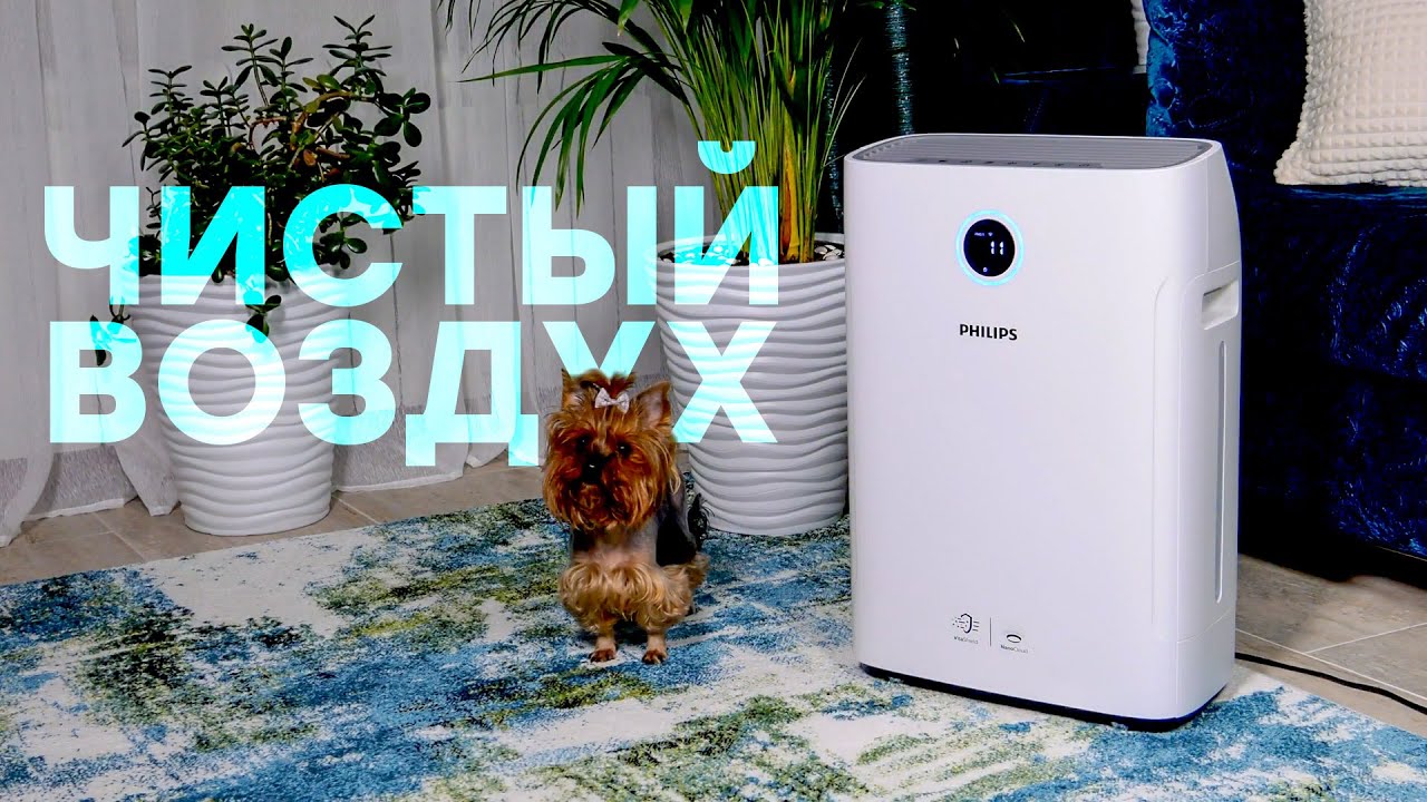 Обзор климатического комплекса Philips AC2729/51