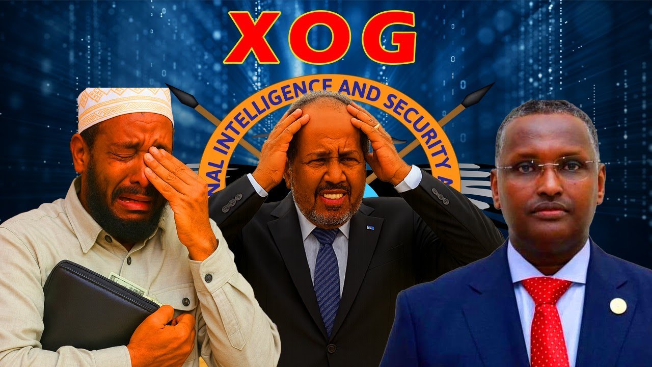XOG SIR AH