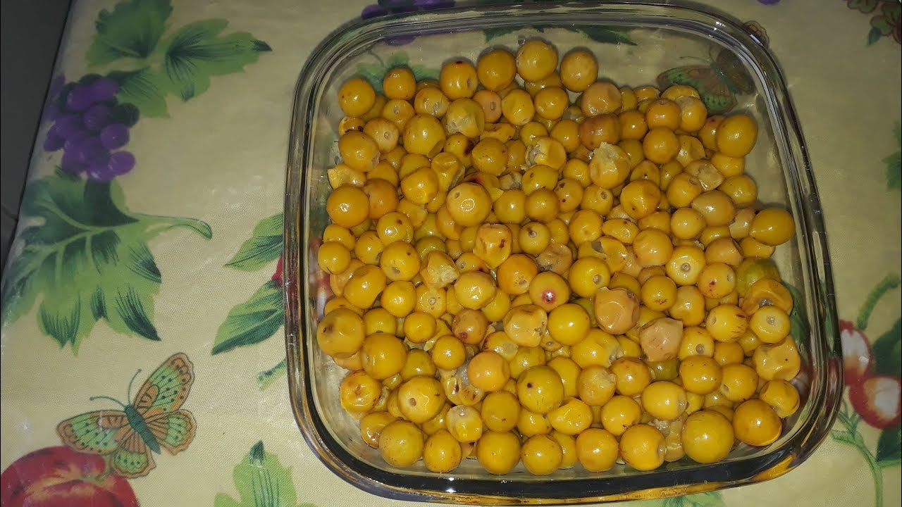 Tirando polpa de murici