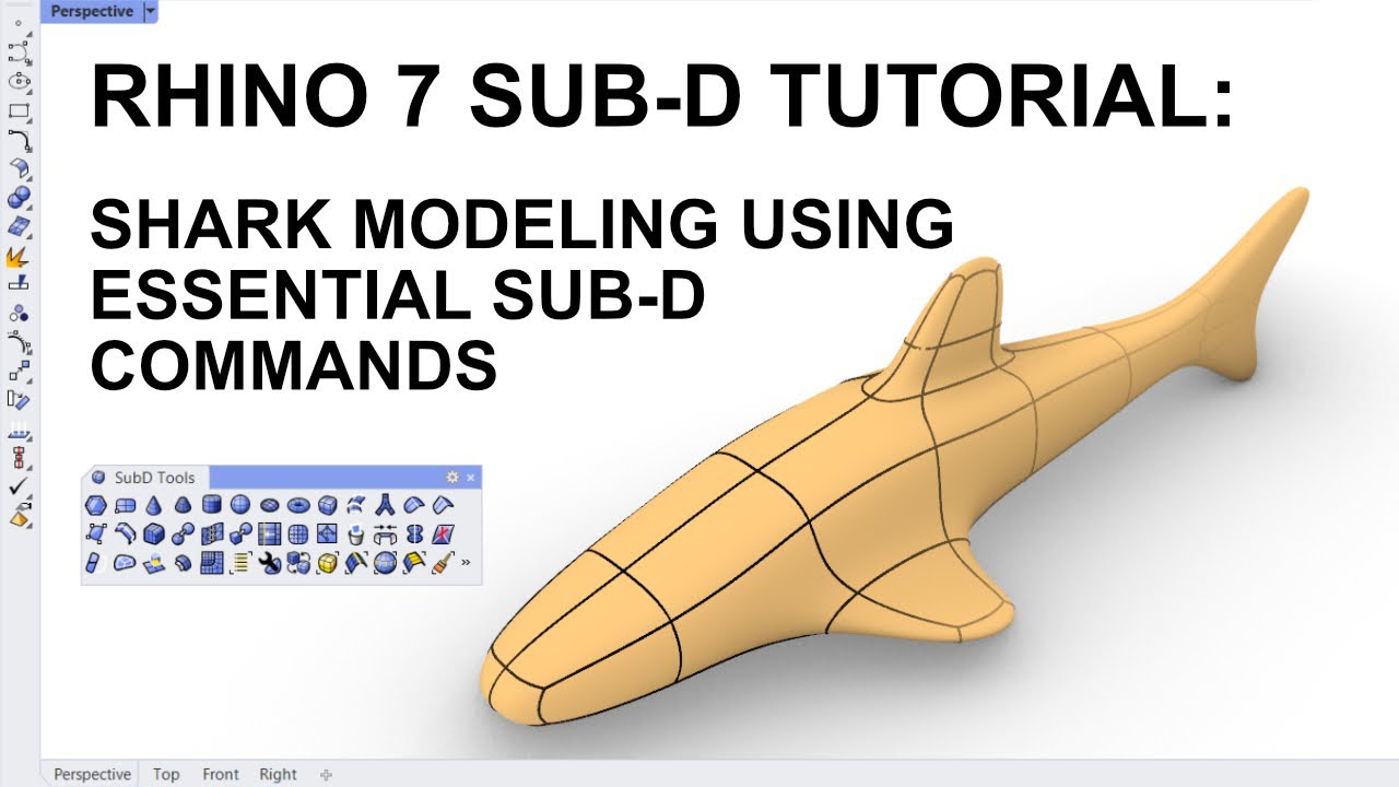 Rhino Organic 3D Tutorial: Modelling a shark using essential Sub-D commands