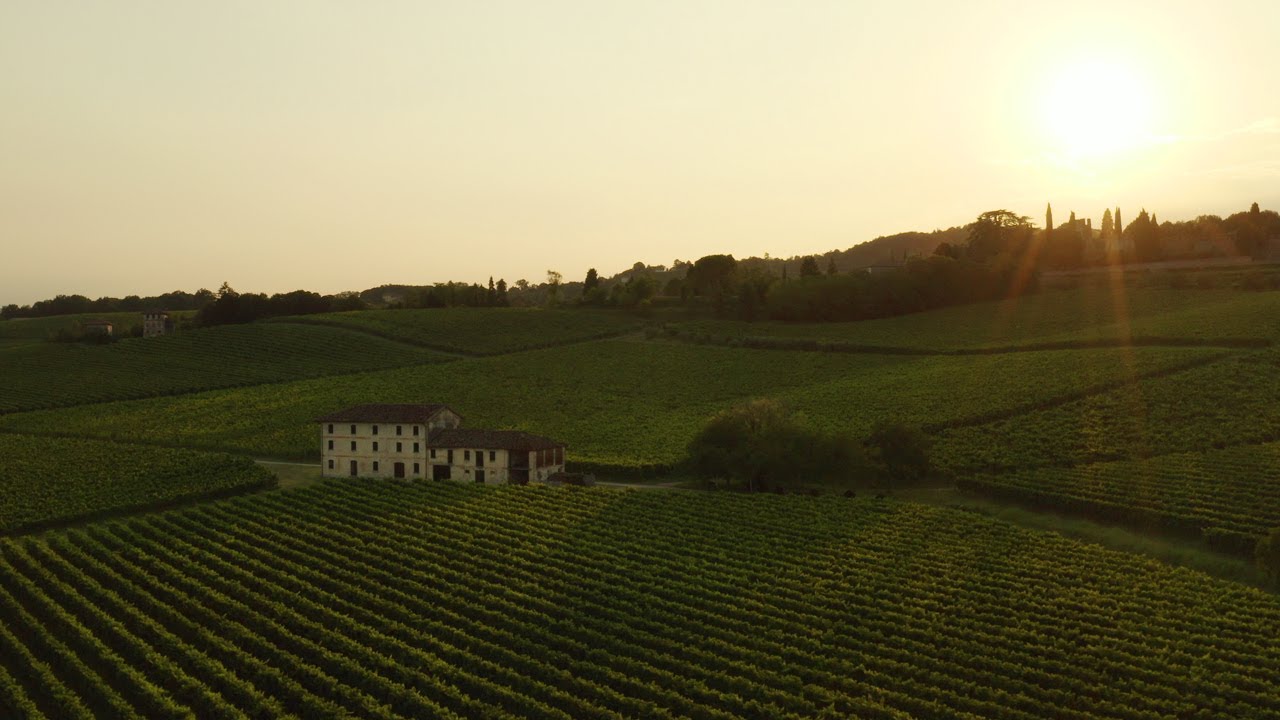A taste of Prosecco Land | Valdobbiadene
