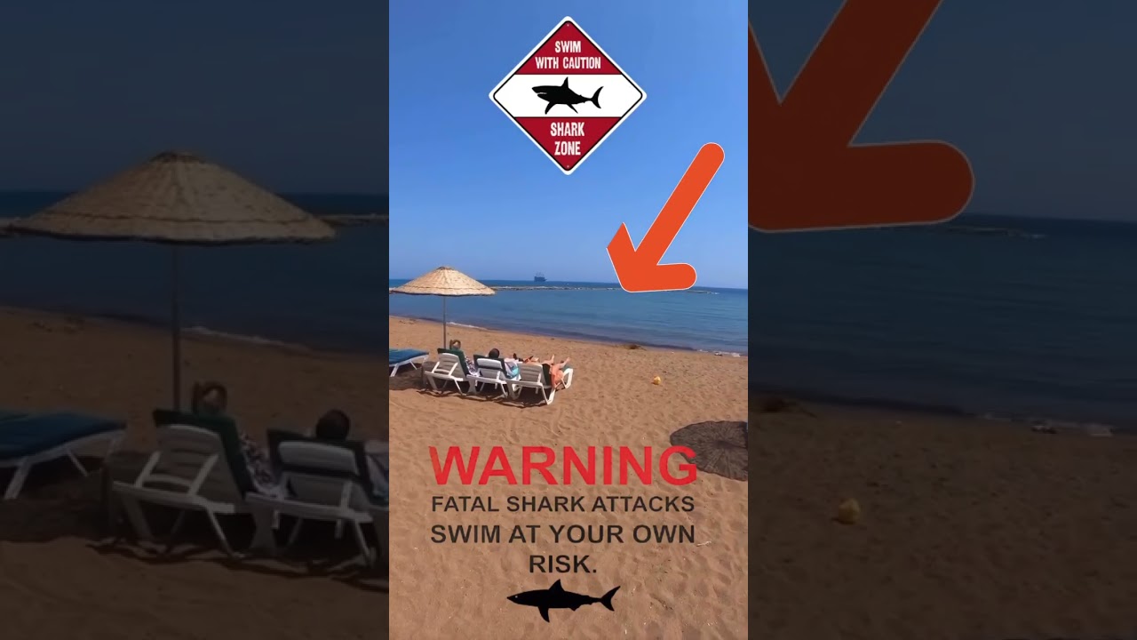 Beachgoers Watch in Silence as Shark Attacks just Yards Away 😳🌊