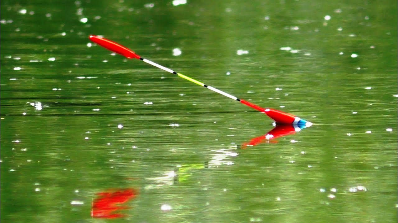 🌾🌾 Очерет Гуде від Риби. 🐟🐟 рибалка пішла не за планом. Дикі місця, дика річка.