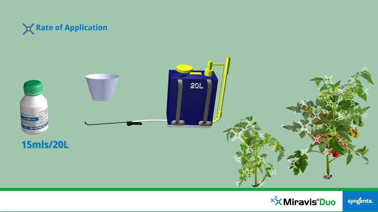 MIRAVIS Duo Fungicide for Tomatoes - Early Blight and Powdery Mildew Control