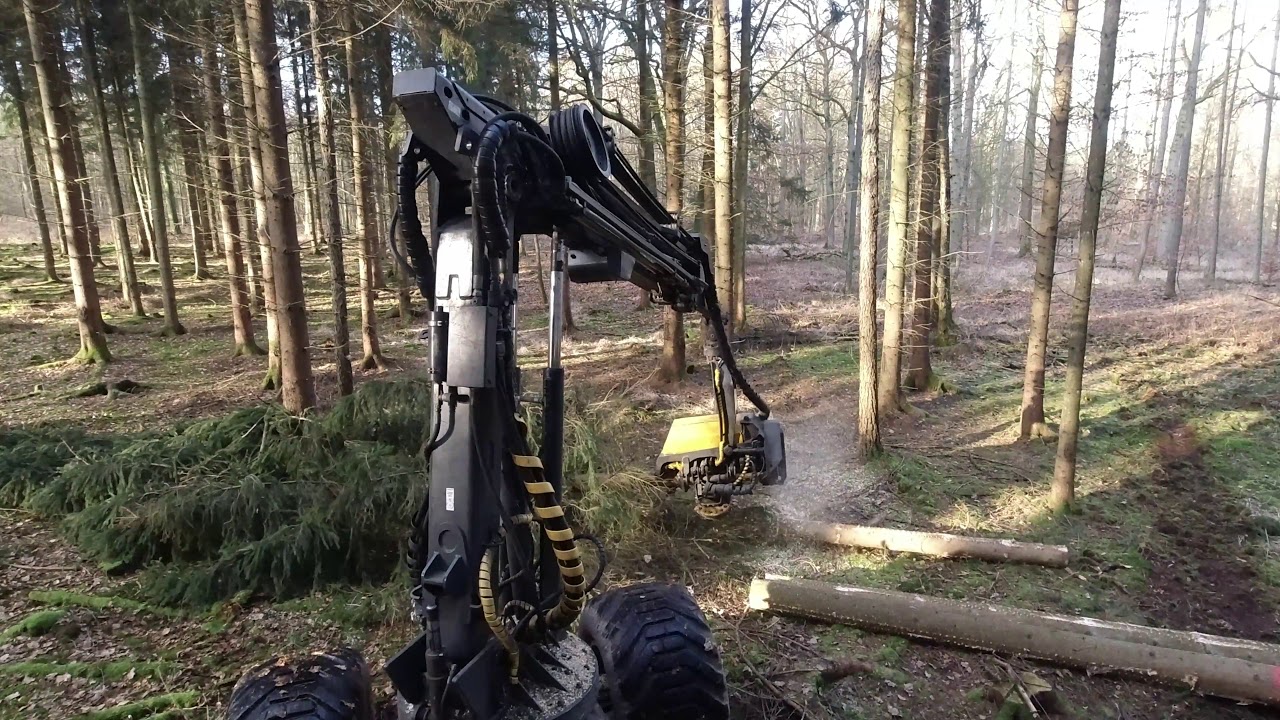 Ponsse Ergo H73 (15200h) im Käferholz