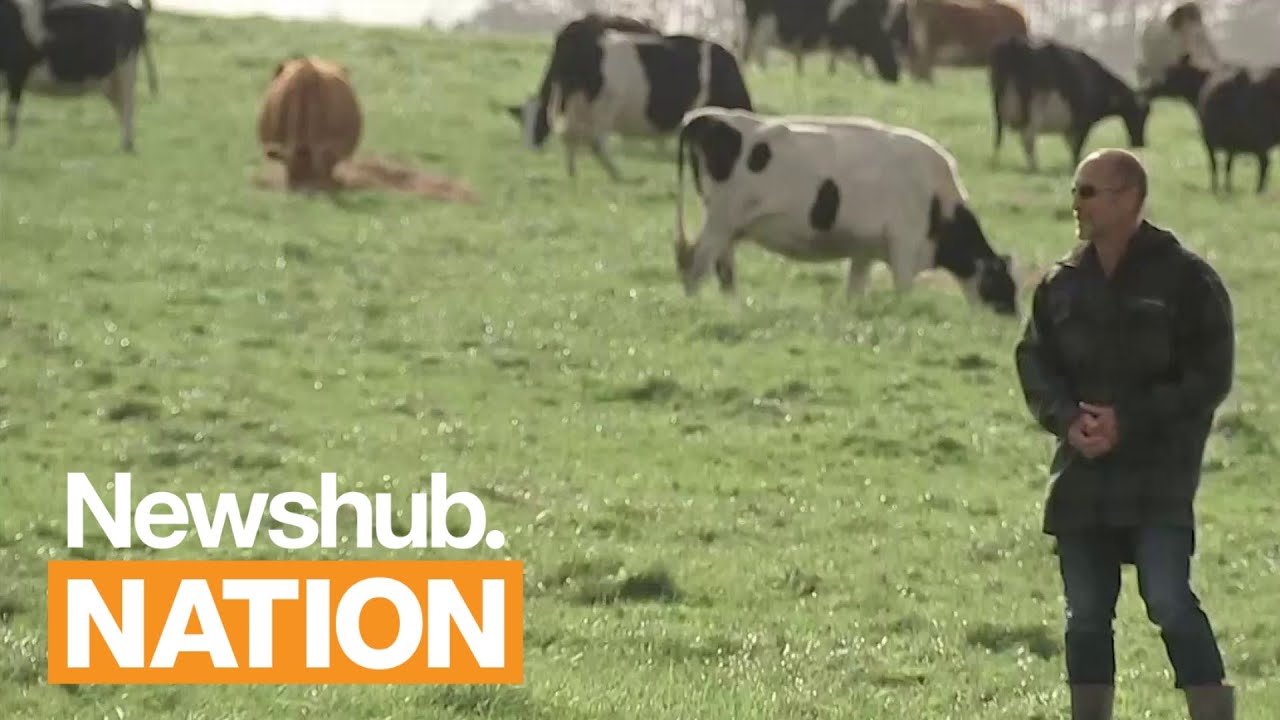 Rural ACT MP Mark Cameron shares love story & experiences with depression | Newshub Nation Backstory