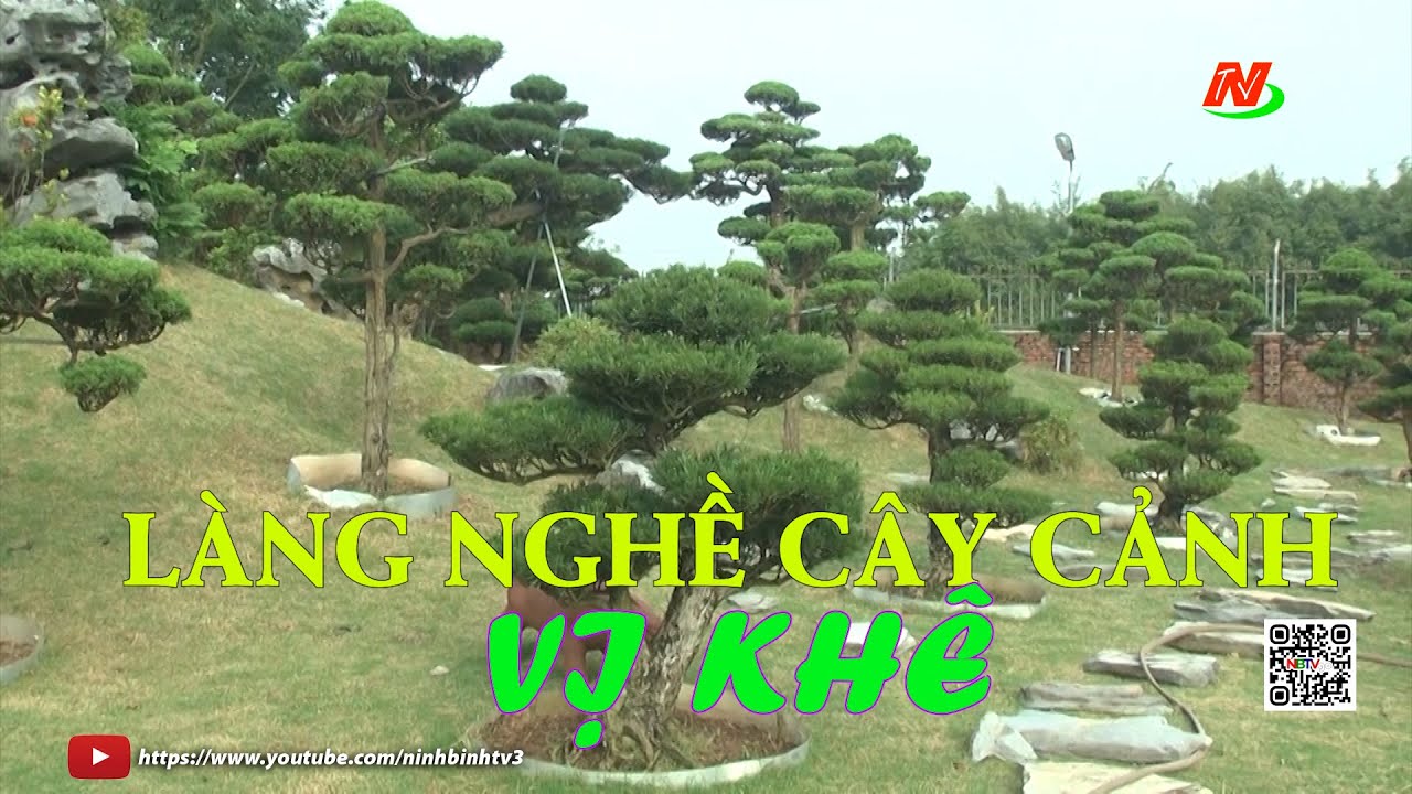 Làng nghề cây cảnh Vị Khê