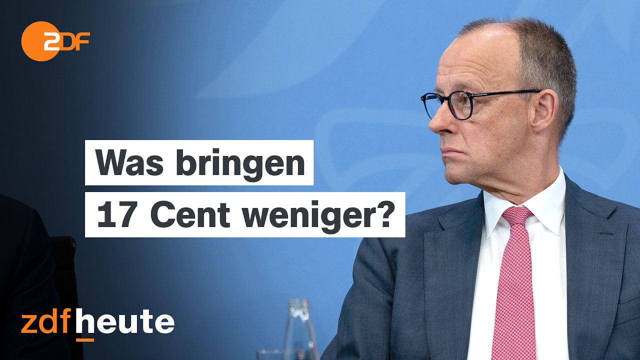 Высокие цены на топливо: пассажиры и бизнес испытывают давление | Обзор по стране