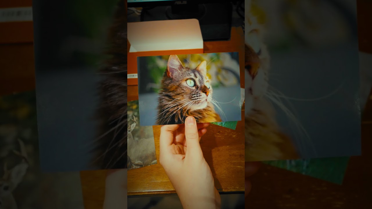 A semi-pro photographer's view on Shutterfly's quality! #shutterfly #sony #honestreview #noai
