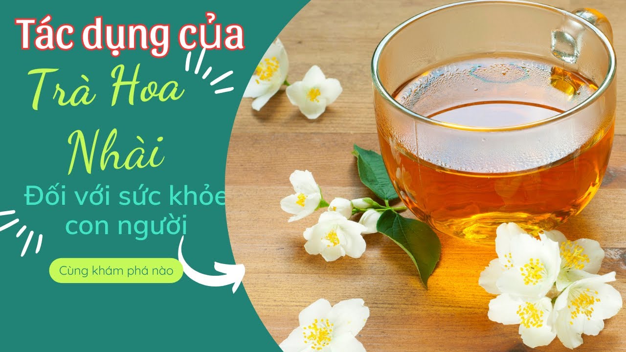 Uống trà Hoa Nhài có tác dụng gì? Công dụng của trà Hoa Nhài khô
