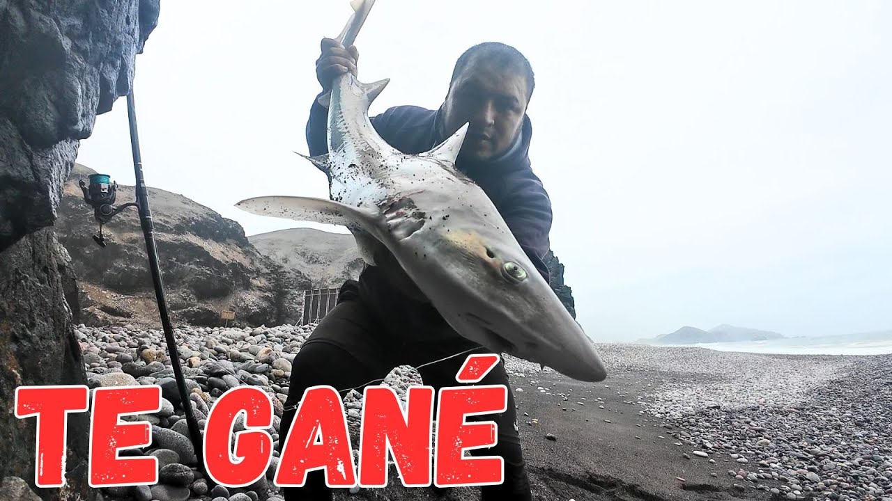 ATRAPÉ UN ENORME TIBURÓN | EN UN PELIGROSO ACANTILADO |Tablita Fishing
