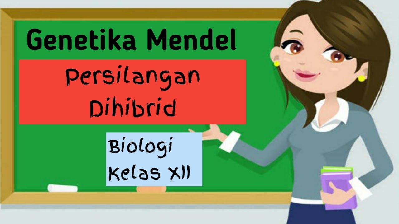 Persilangan Dihibrida Kelas 12 | Genetika Mendel
