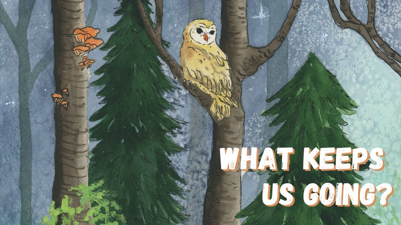 Why We Do What We Do | Painting the Last Piece of The Witch Cat Oracle