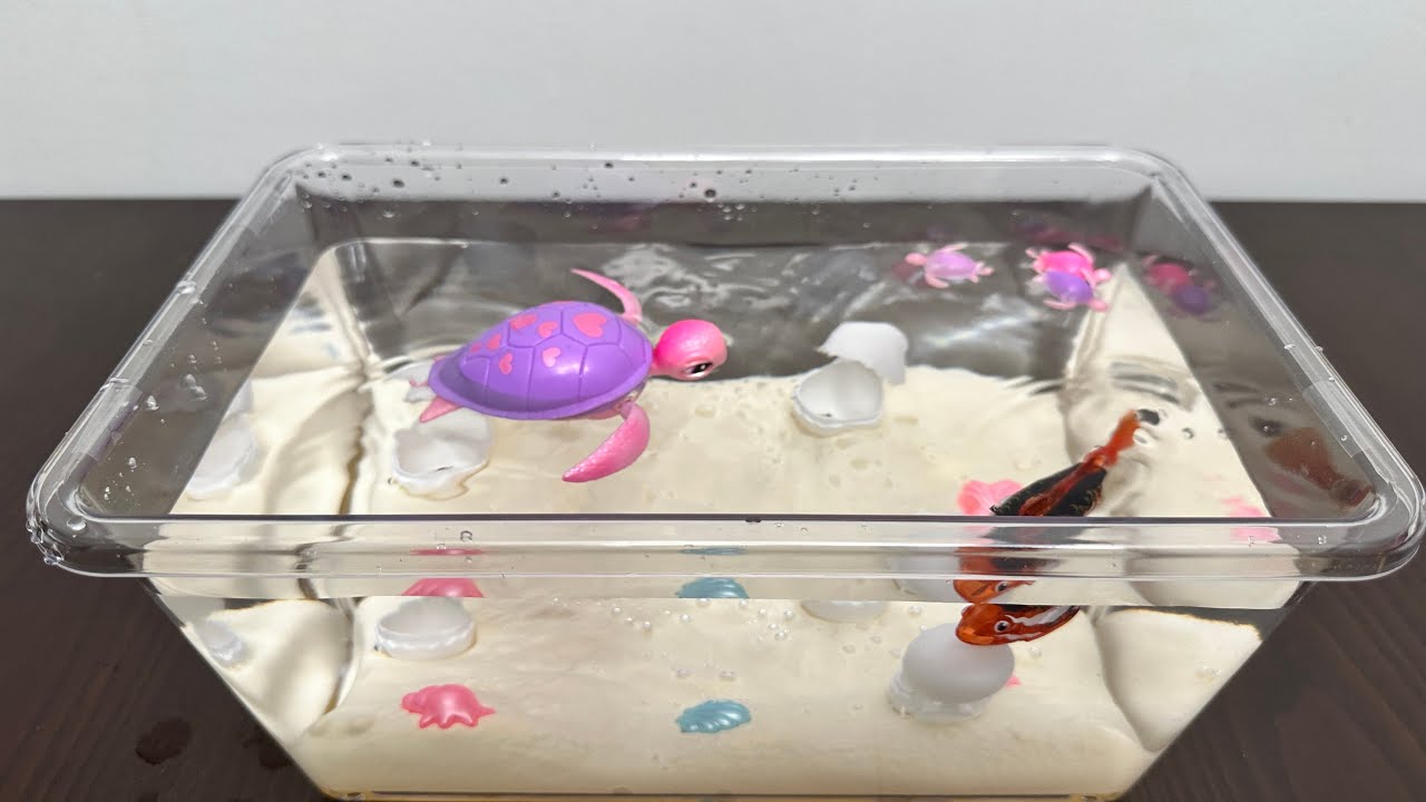 Zuru Pets Alive Mama turtle Toys Unboxing 