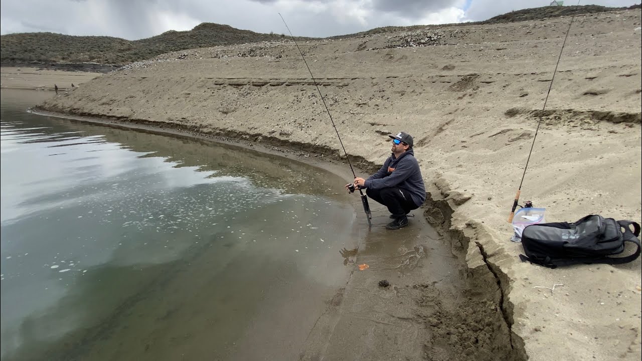 Bank Fishing Secrets for big Rosy Trout