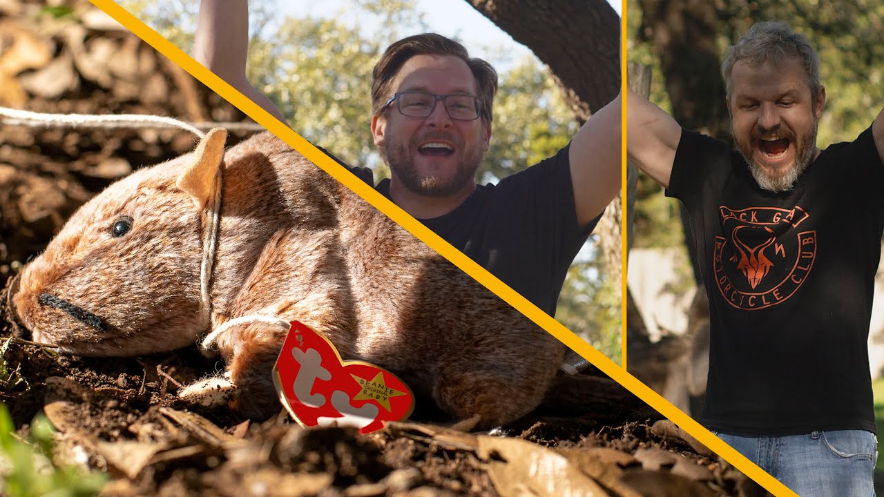 How Spring Traps Catch Beanie Babies