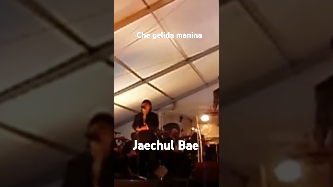 Che gelida manina - JaeChul Bae  #opera #tenor #music #classic #highlights 테너 배재철 그대의찬손 라보엠