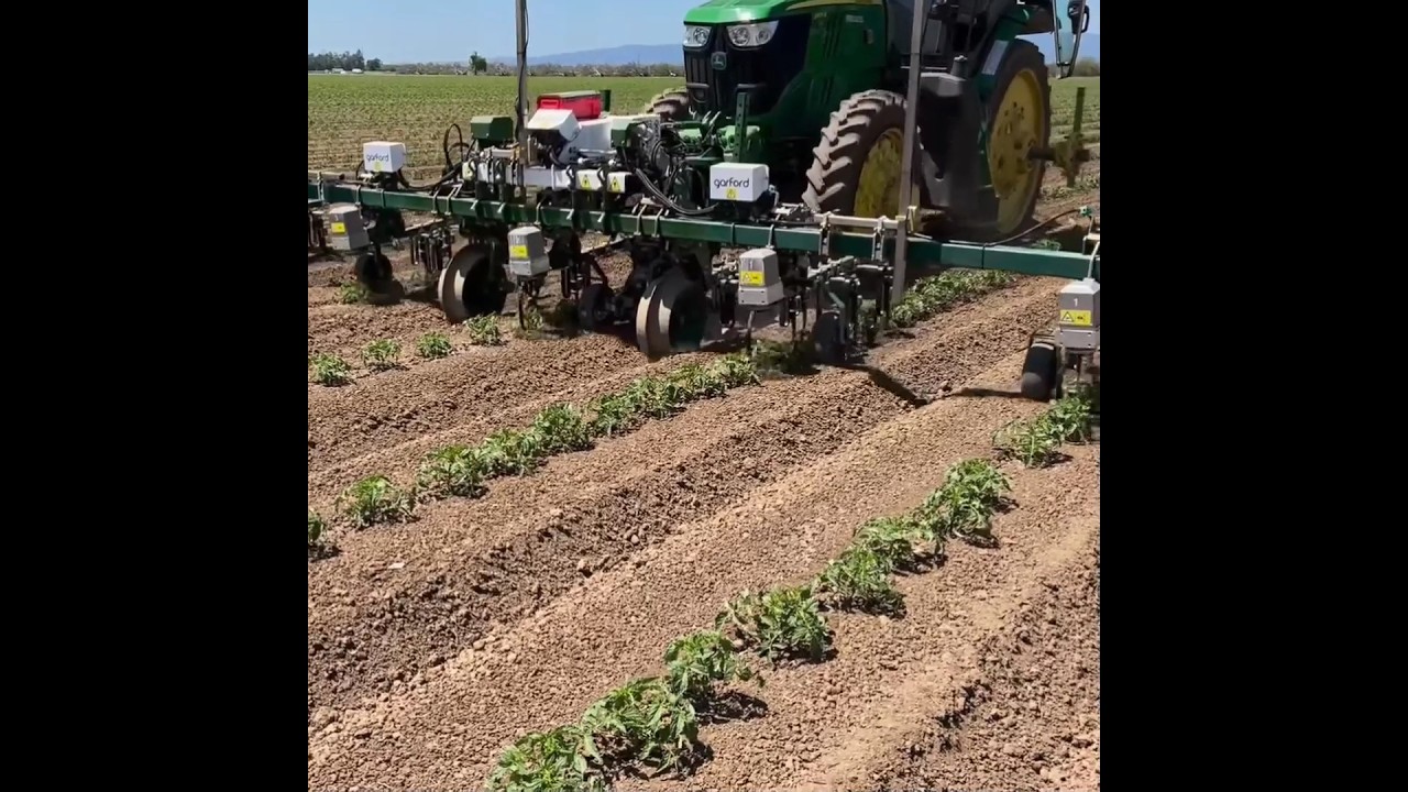 inRow & Inter-Row Weeder ROBOCROP || By Garford Farm Machinery UK || #shorts