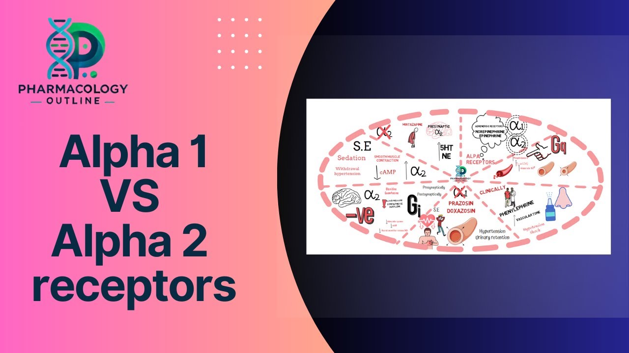 Alpha Receptors Explained: Alpha-1 vs Alpha-2 | Pharmacology Made Simple | whiteboard animation