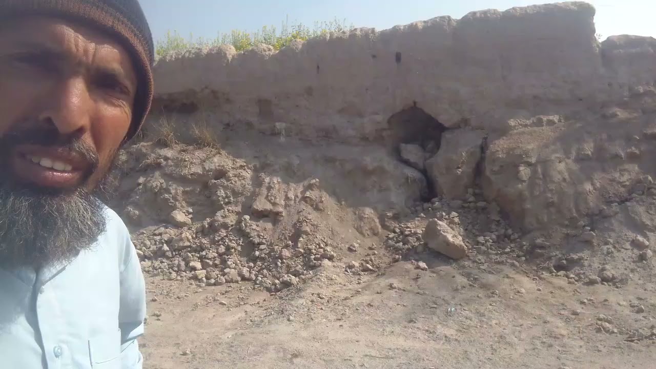 جدید دور کے عین مطابق اچے ڈبے پے کیسے کاشت ممکن بنی 