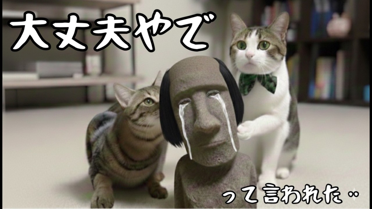 【開封あり】外見より中身大事ｗ〜生ねこLive〜