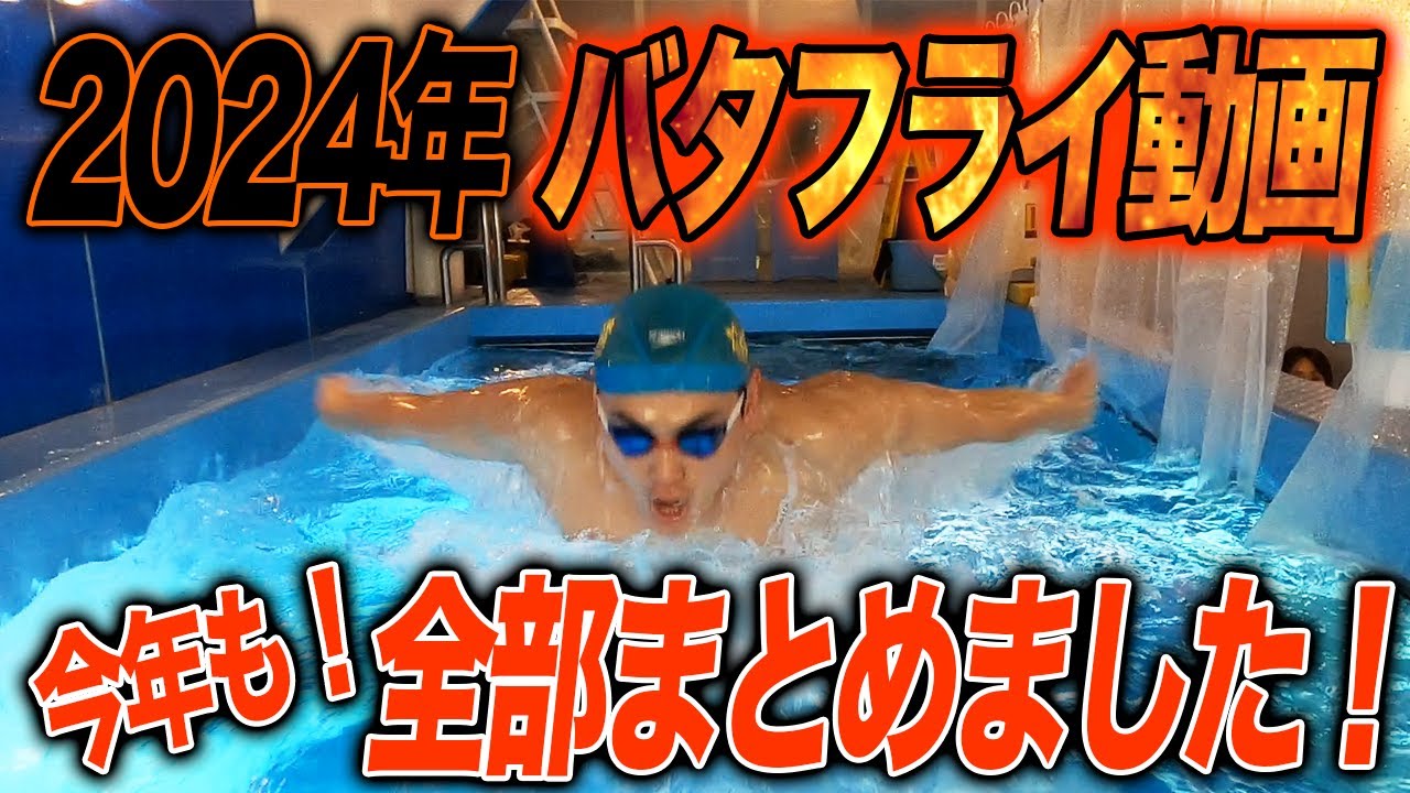【バタフライ・作業用BGM】2024年のバタフライ動画をイッキ見！今年もありがとうございました！／睡眠用 #259