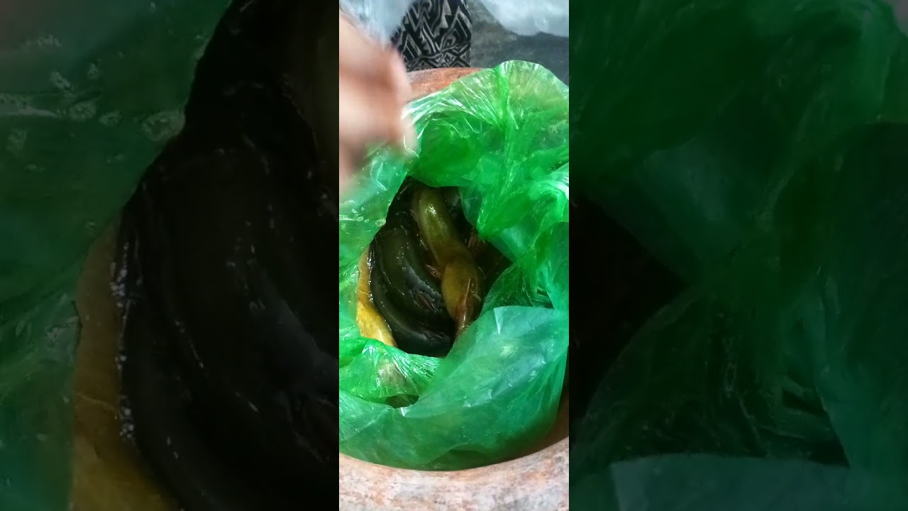 #shorts#viralshorts#bangladeshivlog#bangladeshifood#dailyvlog#cookwithme#banglavlog#homemadeco