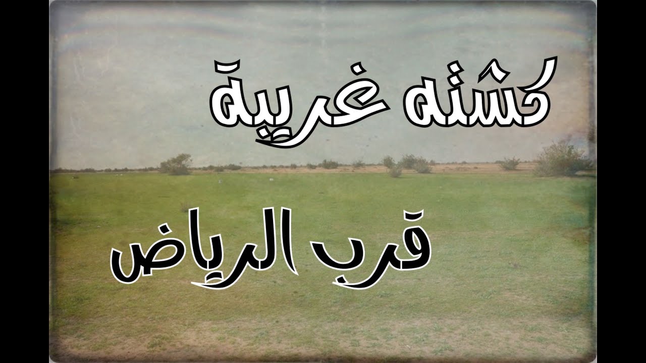 حاول يطرد الثعبان بالنار وكانت المفاجئة احداث صادمة  #قصص_واقعية #حقيقية #قصص #قصة #جن‪#‬رعب