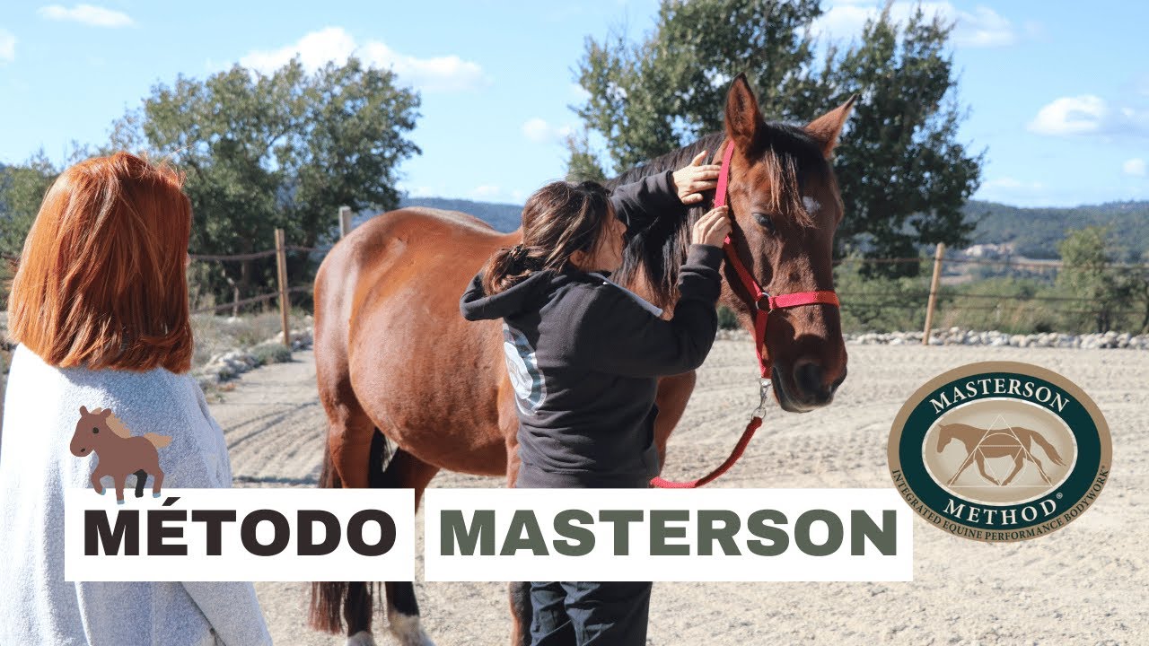 Masaje para caballos - Método Masterson | Laia x Xaloc