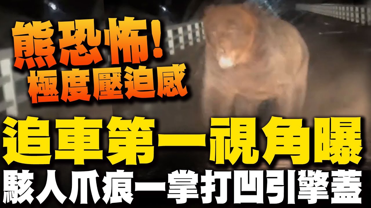 北海道熊出沒 暗夜恐怖追車7秒畫面曝! 猛拍車頭一掌打凹引擎蓋留長長爪痕