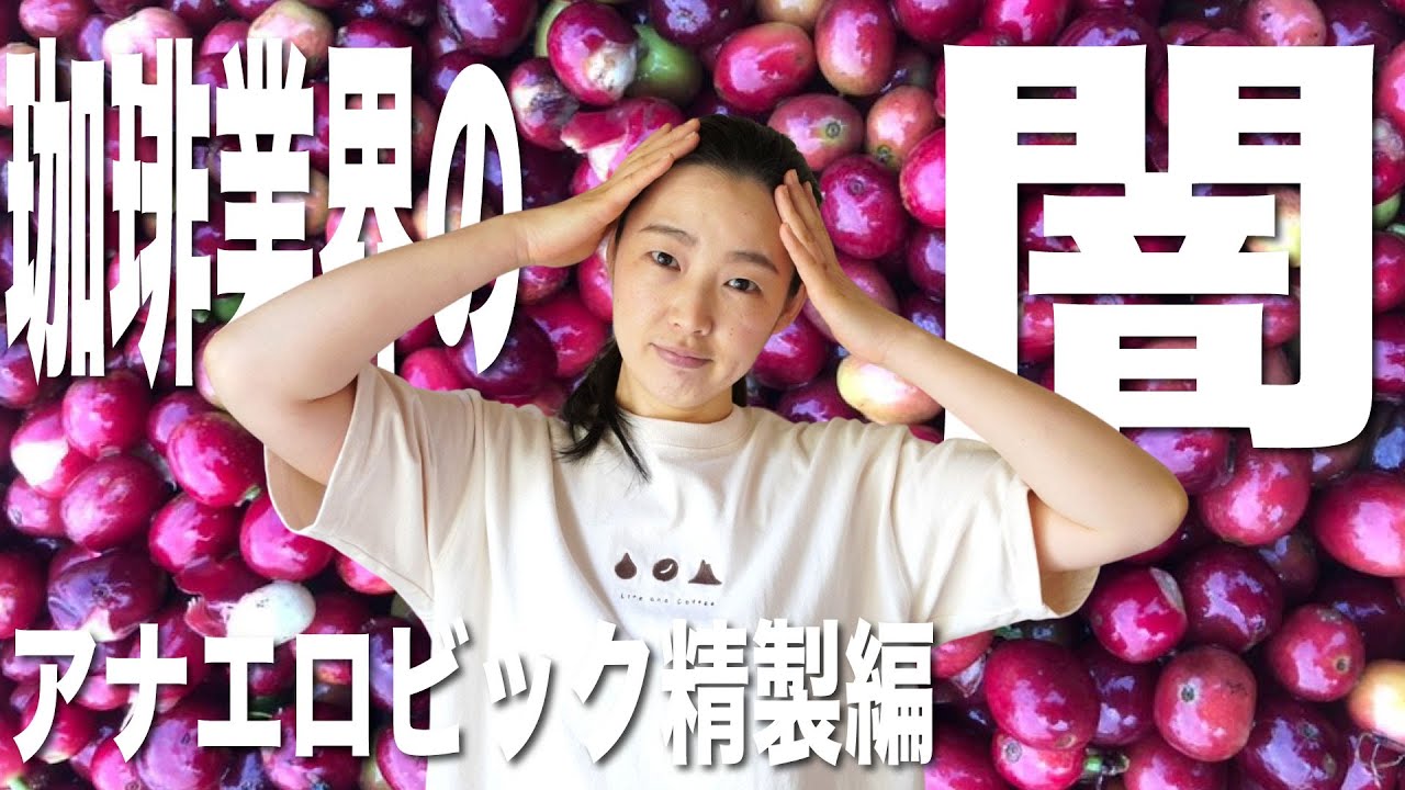 【削除覚悟？】珈琲業界の最新の闇が深すぎた（アナエロビックの闇）