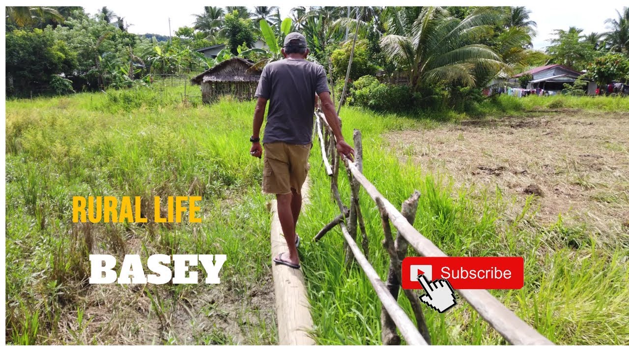 🇵🇭 RURAL LIFE IN BASEY, SAMAR