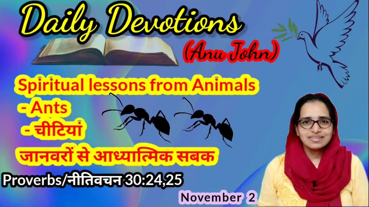 Daily Devotion (November 2) Proverbs 30:25 Lesson from the life of ants 🐜🐜