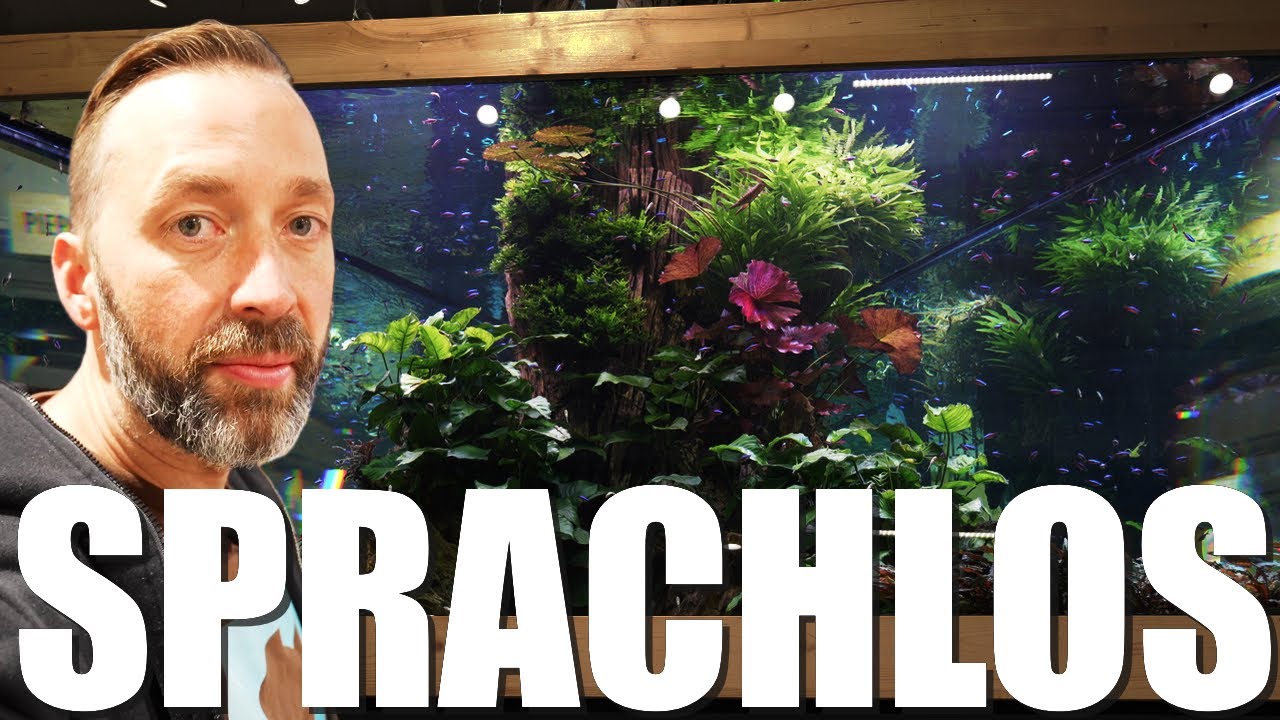 MEGA Entwicklung bei den XXL Aquarien im @Kölle Zoo Stuttgart!