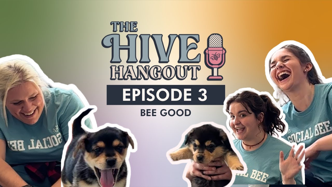 The Hive Hangout Episode 3: BeeGood