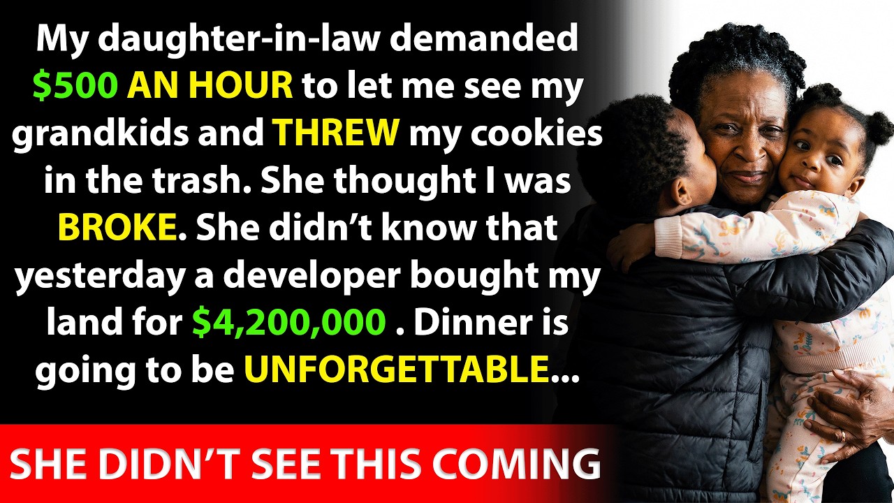 Grandma Charged $500/Hour to See Grandkids—Her Revenge Is SHOCKING!