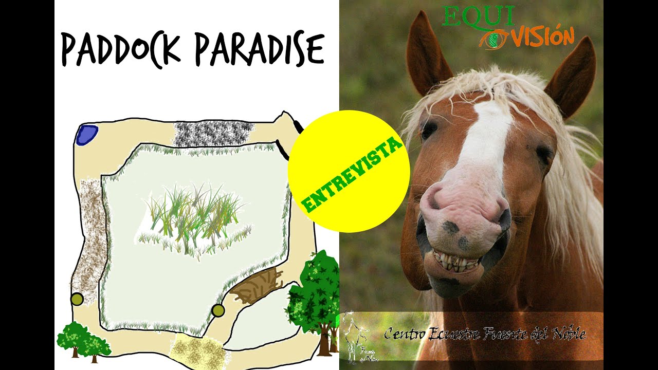 Que es un Paddock Paradise