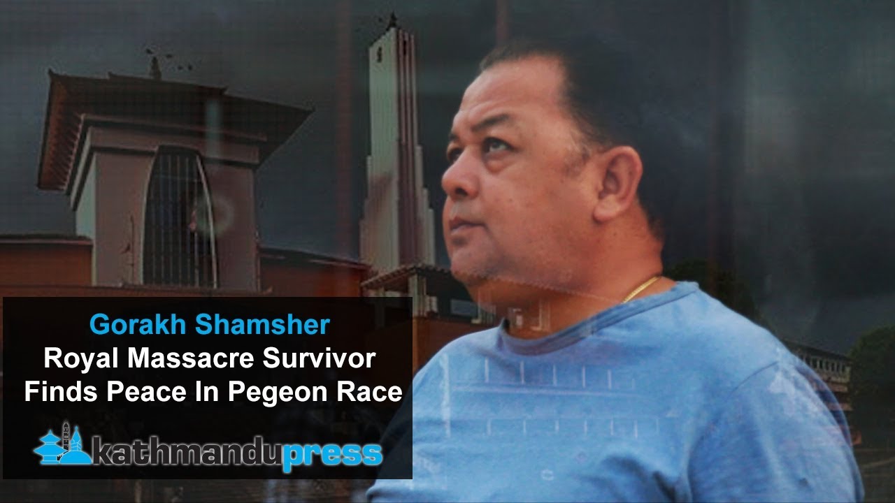 Gorakh Shamsher : Royal Massacre Survivor Finds Peace In Pigeon Race