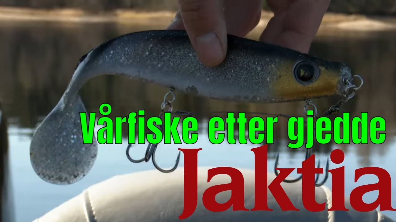 Vårfiske etter gjedde