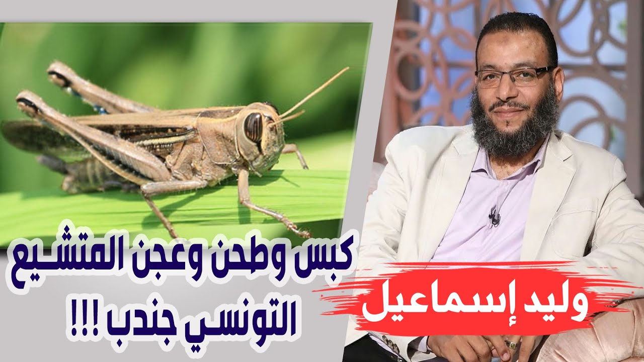 وليد إسماعيل |163| كبس وطحن وعجن المتشيع التونسي جندب !!!