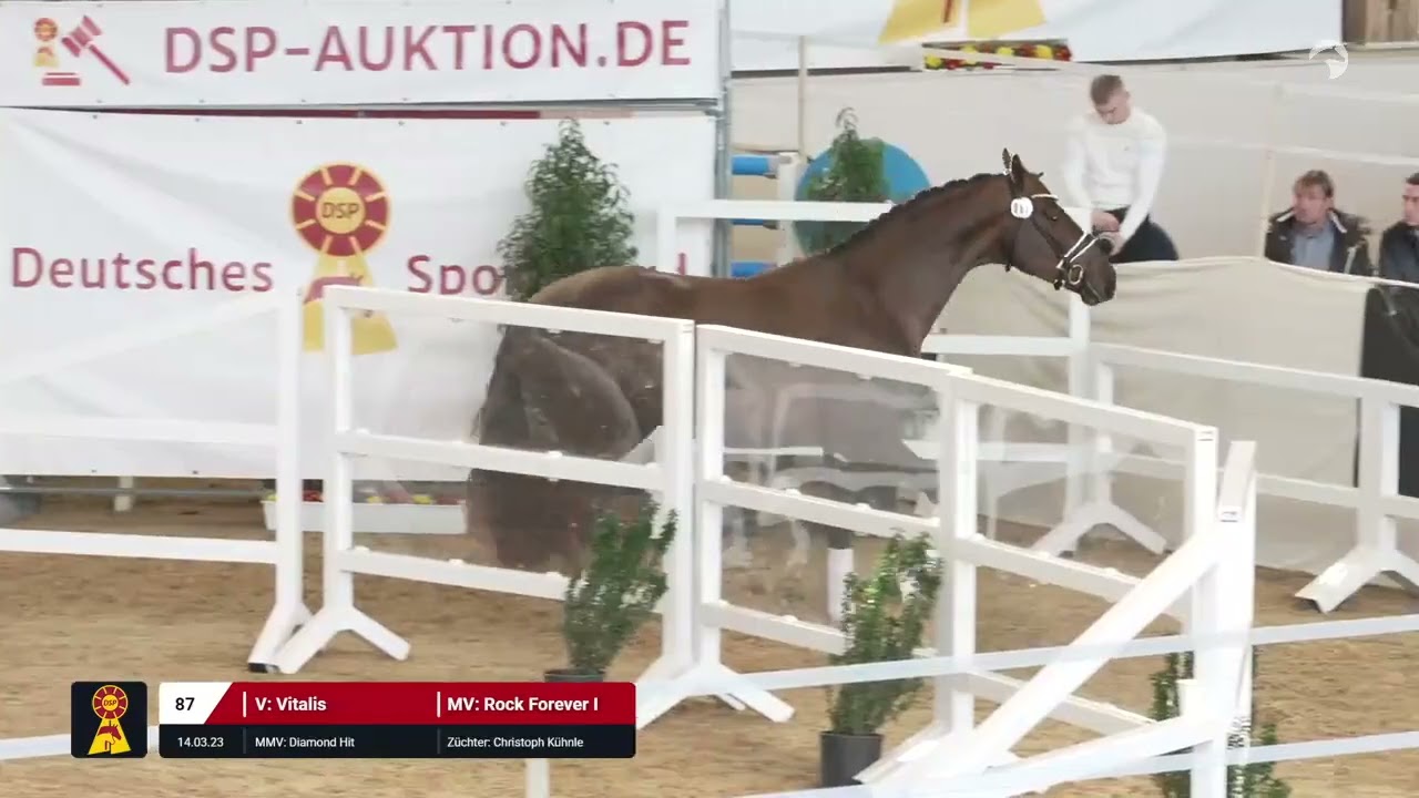 Lot 87 v. Vitalis / Rock Forever I