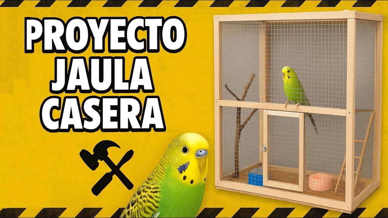DIY| Jaula para pájaros.
