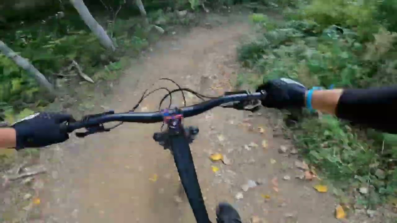 Tche Don Enduro Trail, Le Moleson Bikepark