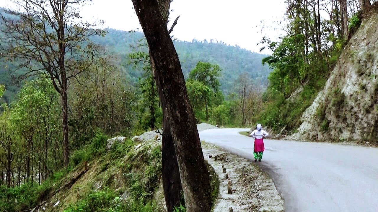 NJP Siliguri to Pelling By Road Full Journey