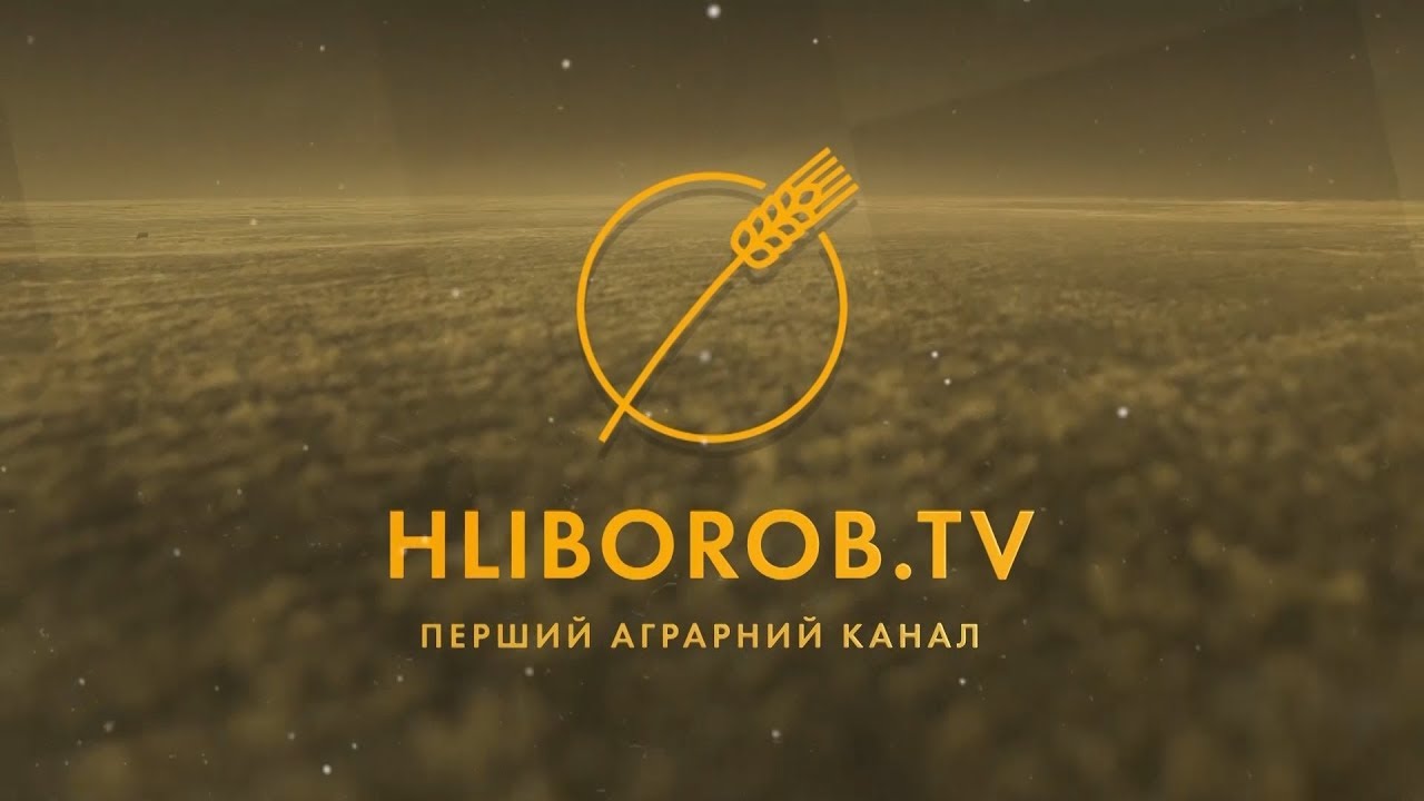 Таки лучшее из Одессы: основные тезисы Grain Ukraine 2018