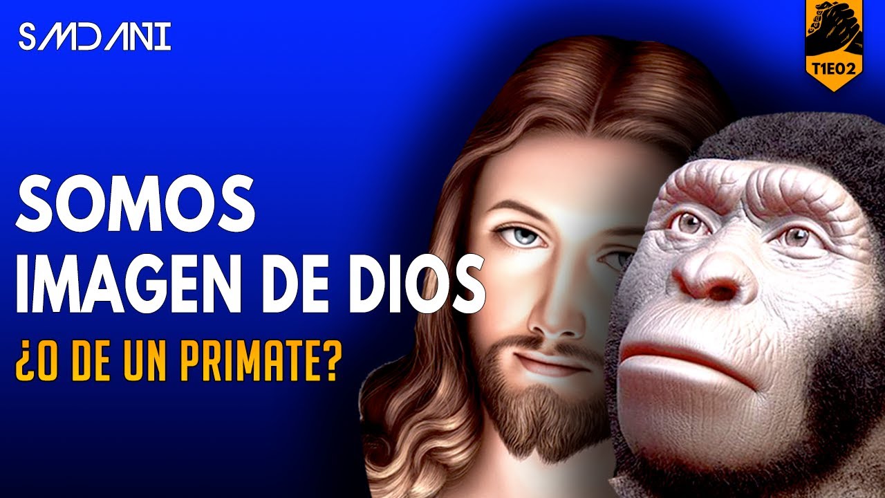 ¿Venimos del MONO o nos CREÓ DIOS?  | 🤝 Diálogo Fe Ciencia | T1E02