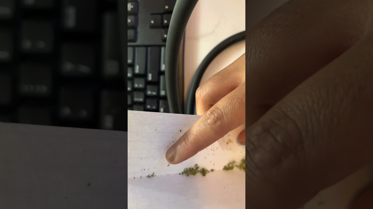 How to roll a leaf / backwood