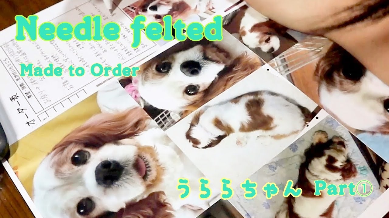 うららちゃん 制作工程①　A process of making a dog with wool felt　 [Made to order] Cavalier King Charles Spaniel