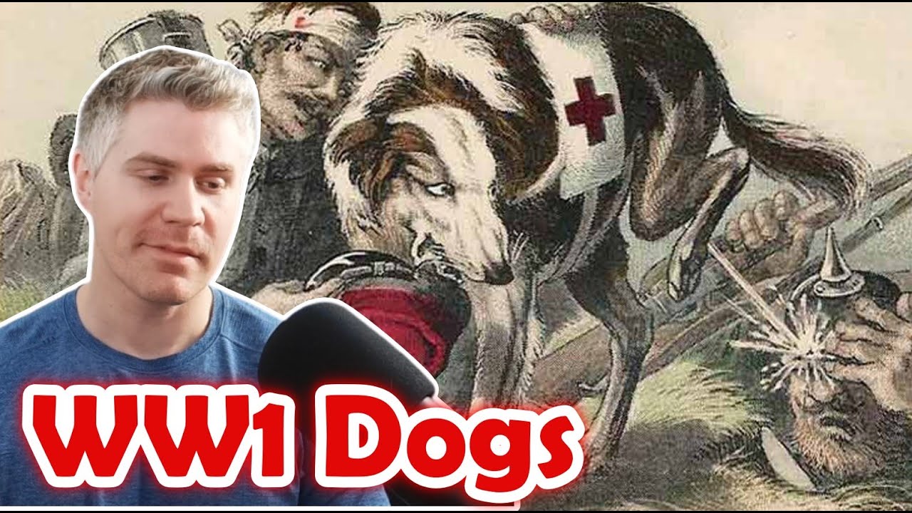 The Heroic Dogs of WW1
